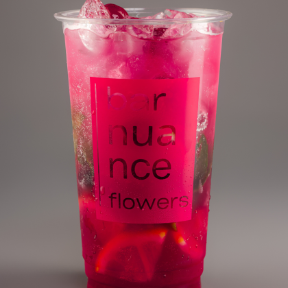 Лимонад ягодный 500мл