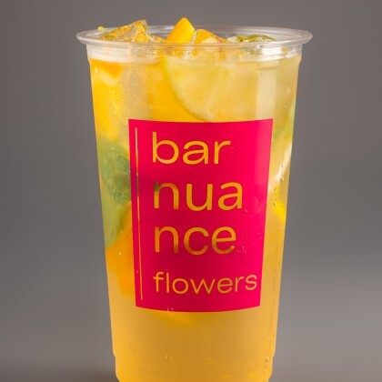 Лимонад цитрусовый 500мл