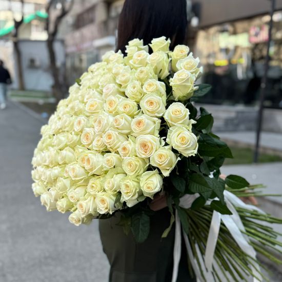Белые розы «Dolomiti» 90 см 101 шт