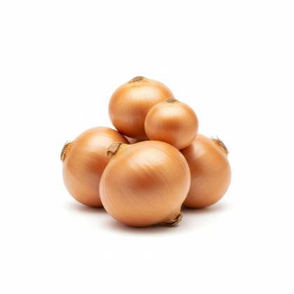 Лук репчатый