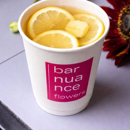 Чай имбирный 300мл