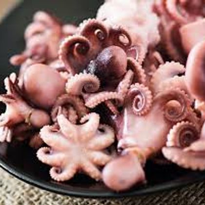 Молодые осьминоги мороженые(OCTOPUS VULGARIS) Китай