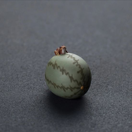 лягушка на арбузе